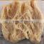 Fiber Vegetarian Soya Protein Process Line/extrusion machine/extruder