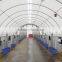 Livestock Storge shelter, Horse Run-in, Animal Housing Tent , container shelter