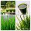 commercial fruit juicer/manual slow juicer/manual wheatgrass juicer