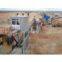 Aggregate crushing line