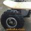 E-Skateboard- Electric Skateboard 800W