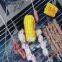 Stainless Steel Barbecue Wire Mesh