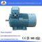 Explosion-proof Electric Motor