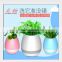 Mini Led Music Smrat Flowerpot Playing Music Bluetooth Speaker Blue Pot