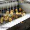 Brush Type Fish Scale Removing Scaling Remover Processing Machine