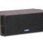 double 10 inch line array speaker system LA210A