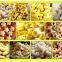 Do You Know The Adaptability Of Food Puffing Machinery?