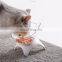 Transparent Cat-shaped Pets Feeder Water Bowl Cat Dog Bowl Neck Protection Large Capacity