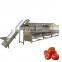 New design automatic vegetable fruit grader with conveyor