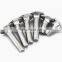 Best seller bolt factory carriage bolt mushroomhead bolt for fastening