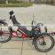 Folding Recumbent trike for Sale