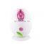 China New Style Hot Sale  Beauty Personal Care Face Steamer Sprayer Face Humidifier Facial Steamer