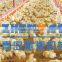 automatic poultry system chicken feeding pan