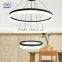 Fashion Design Modern Indoor Pendant Lamp/Indoor Pendant Lights