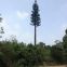 Camouflaged Pole Palm /Pine Micro Cell Tower Bionic Tree Tower