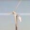Horizontal axis wind turbinetal