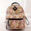 oem university backpack school bag