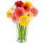 EU standard chrysanthemum flower