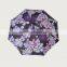 Promotional 2016 beautiful two folding umbrella with auto open