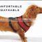 Speedy Pet Brand Comfortable Mesh Harness Vest blue/black pet harness M size
