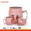 Everich Spray Painted Stainless Steel Copper Moscow Mule Mug with Creative Design