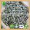 GWS Pumpkin Kernels raw cashew nut wholesale