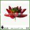 Artificial Tropical Bonsai Succulent Plant in Deep Red with Green Heart
