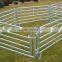 oval cattle panels / sheep yard