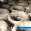 galvanized wire