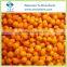 Frozen Sea Buckthorn Berries