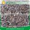 Chinese Raw Bulk Sunflower seeds 5009