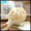 New Design Plastic With Spray Battery Power Fan