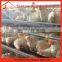Automatic chicken egg layer cages poultry cage battery cage system for sale
