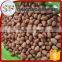 Bulk raw peanuts kernel