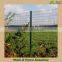 Galvanized euro fence welded wire mesh with china factory prices hot sale
