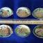 polished abalone shell Haliotis Iris for crafts