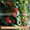 Black Felt Vertical Planter Garden Living Wall Decor Flowers Grow Bag for Herbs Strawberries