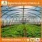 Heracles trade saaurance good quality greenhouse material-200 micron greenhouse film greenhouse for sale