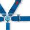 5 Points Car Safety Belt,racing seat belts,FIA quality belts, 5 point racing harness safety seat belt