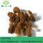 dried morels morchella esculenta