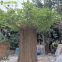 Customized outdoor round trunk decorative artificial big metal ficus trees