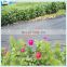 China Eco-friendly Agricultural Black PP Weaven Plastic Ground Cover
