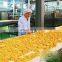Restaurant Electric Vegetable Cutter Dicer/Home Potato Chips Machine/French Fry Potato Cutter