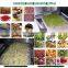 20KW Soybean Microwave Tunnel Dryer machine for sale