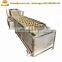 Leafy , Rhizomes vegetables processing line / commercial vegetable washing machinery