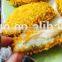 High quality bread crumb making machine /  panko bread crumbs maker machines