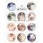 Sell Well Colorful PVC Vinyl Wall Sticker