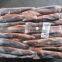 china frozen illex squid argentina