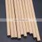 Biodegradable Natural Bamboo Straws Reusable Straws