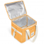 cooler bag thermal bag